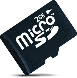 Shark 2GB Micro SDHC Memory Card